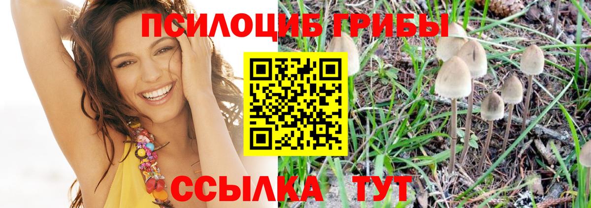 Галлюциногенные грибы мухоморы Зеленокумск